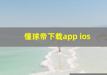 懂球帝下载app ios